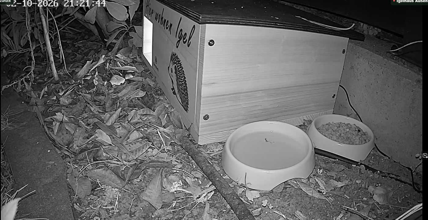 Außenkamera bei Nacht